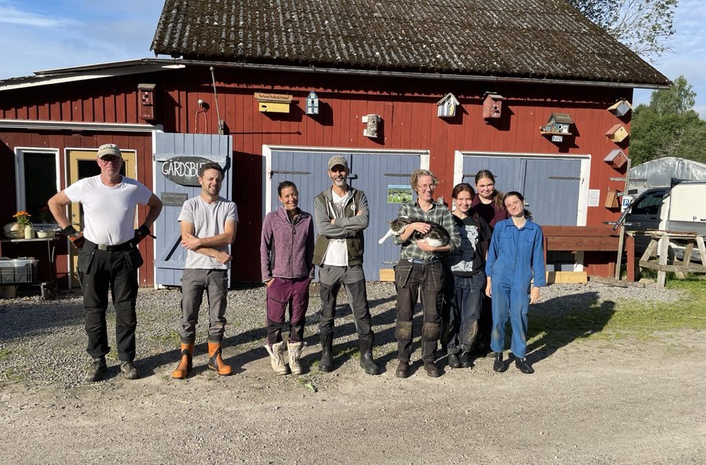 Vad krävs för att vara WWOOF-värd?