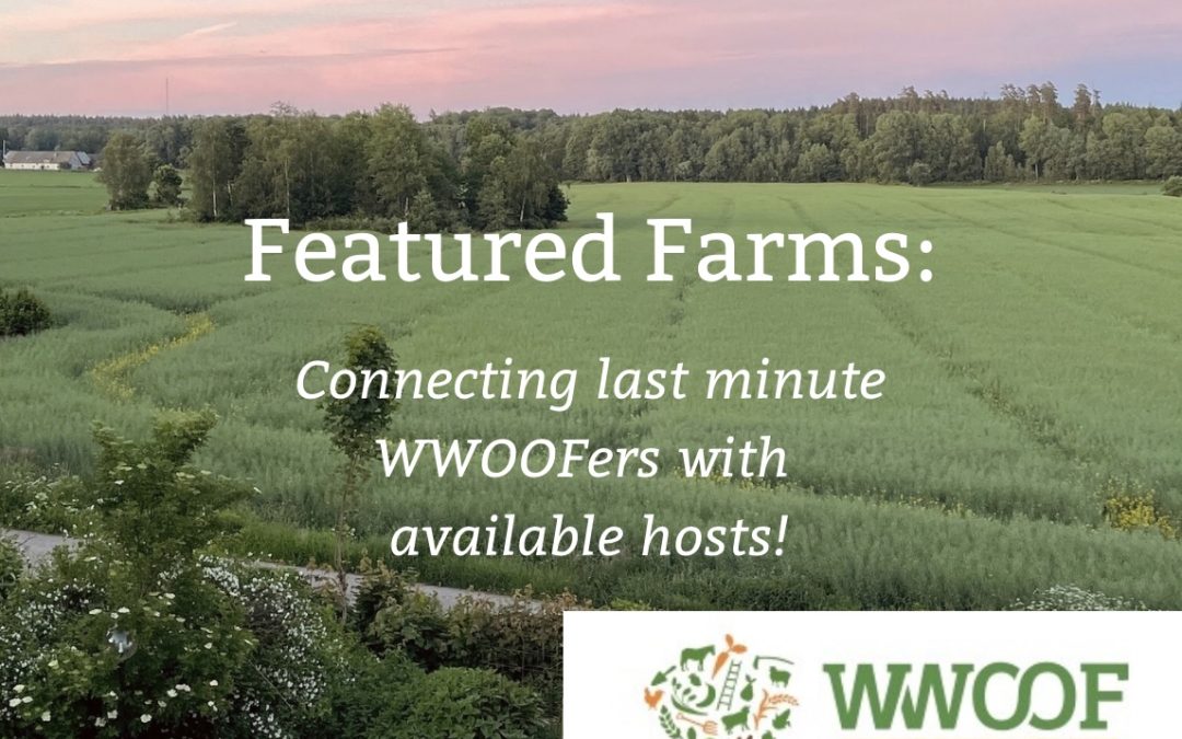 Looking for a last minute host?