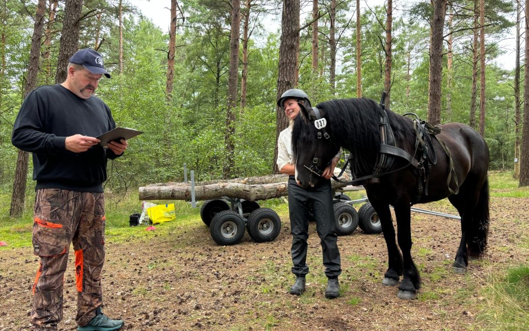 Varje gård borde ha minst en arbetshäst 🐴🌾